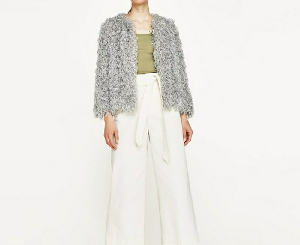 Zara shimmery short jacket NWOT